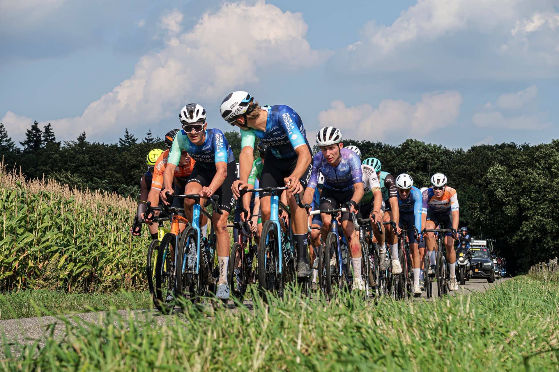Peloton auf einer Landstraße am Maisfeld